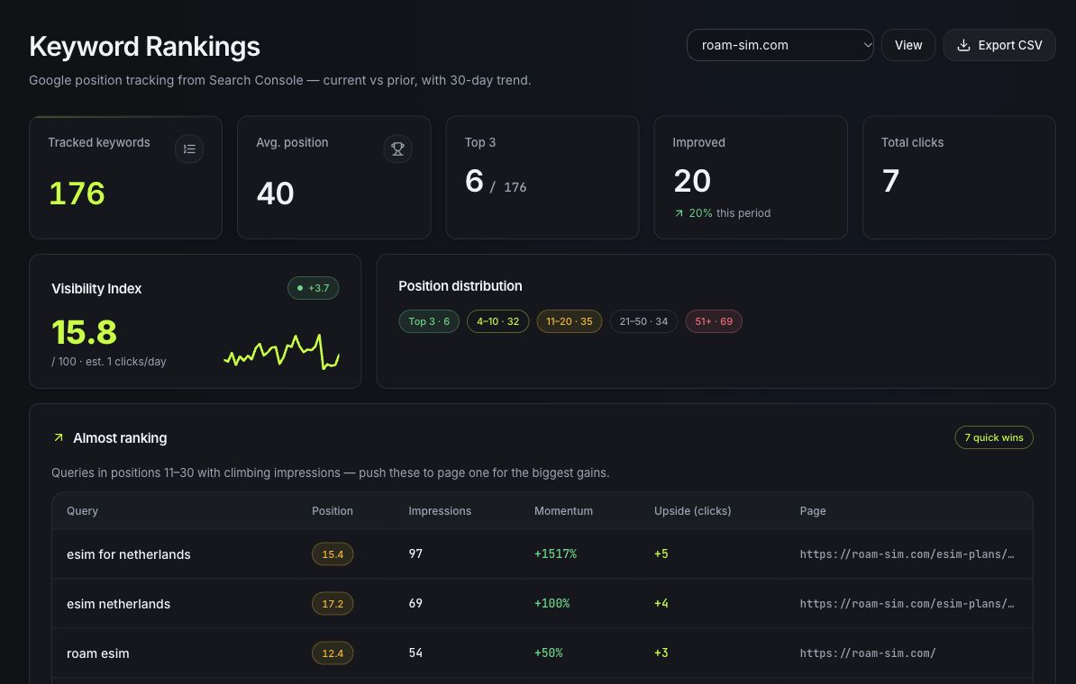 Actual rankings view in the roam-sim.com Rankd workspace